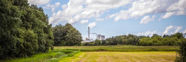 Güzel geleneksel Hollanda manzara ve doğa. Panorama. — Stok fotoğraf