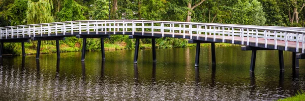 Ponte olandese in parco. Panorama . — Foto Stock