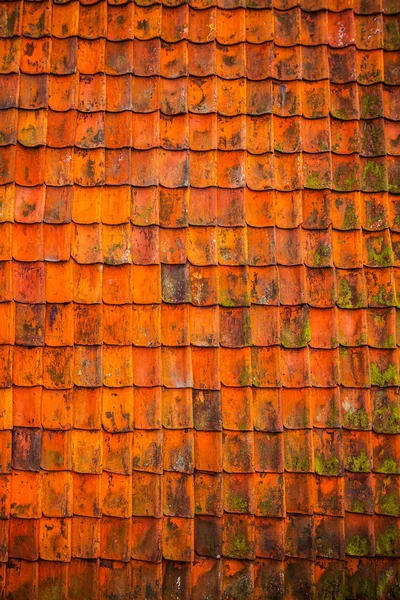 Classic weathered roof tiles as background. — Stock Photo, Image