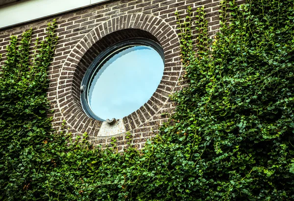 Alte traditionelle die Niederlande Fenster Nahaufnahme. — Stockfoto