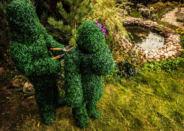 Family of live bushes. Outdoor fairy tale style photo. — Stock Photo, Image