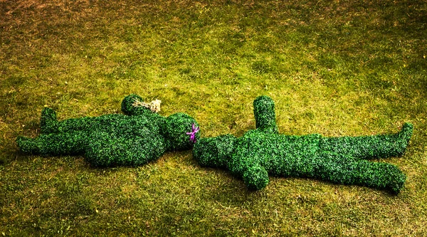 Family of live bushes. Outdoor fairy tale style photo. — Stock Photo, Image