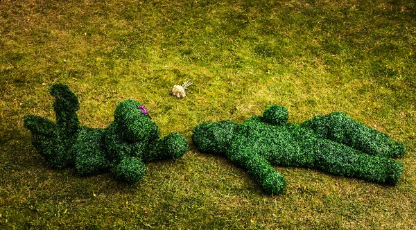 Family of live bushes. Outdoor fairy tale style photo. — Stock Photo, Image