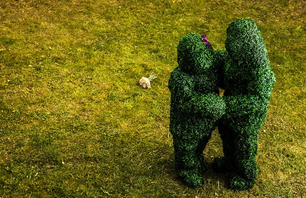 Family of live bushes. Outdoor fairy tale style photo. — Stock Photo, Image