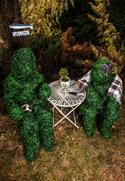 Familie van levende struiken. Buiten sprookje stijl foto. — Stockfoto