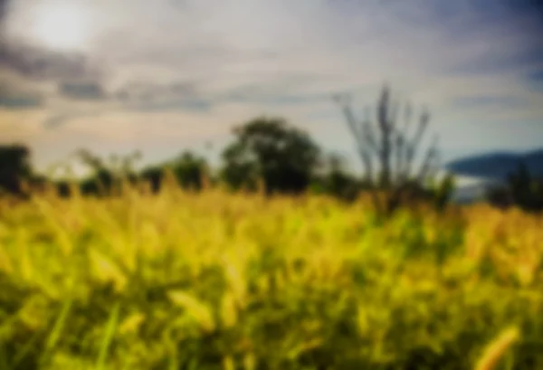 Beautiful blurred tropical view in defocus. Landscape photo with rocks and sea. — Stock Photo, Image