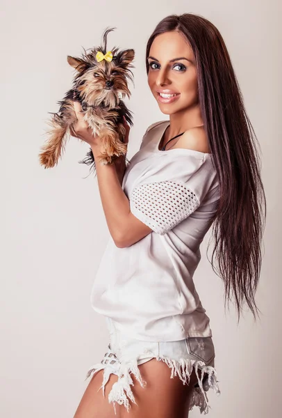 Young attractive friendly woman with Yorkshire Terrier dog. Studio photo. — Stock Photo, Image