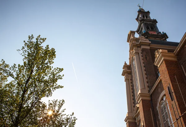 Eglise d'Amsterdam, Hollande — Photo