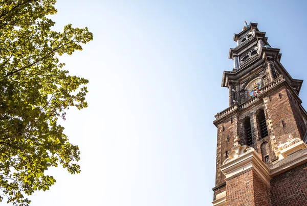 Chiesa di Amsterdam, Olanda — Foto Stock