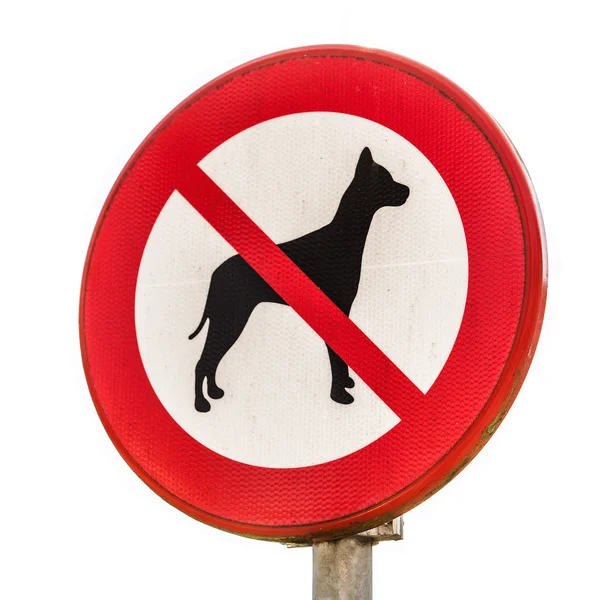 Sign walking of dogs is forbidden — Stock Photo, Image