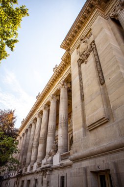 Paris'te ünlü Grand Palais