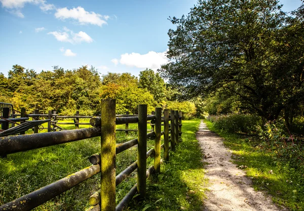 Parque verde al aire libre —  Fotos de Stock