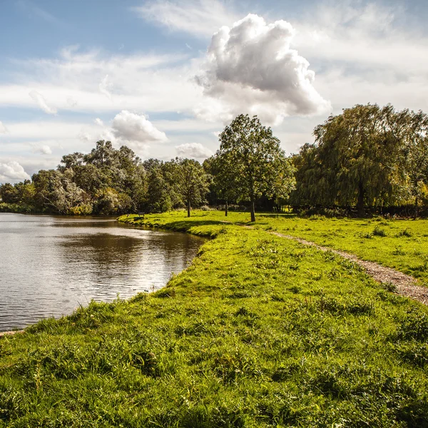 Parco verde esterno — Foto Stock