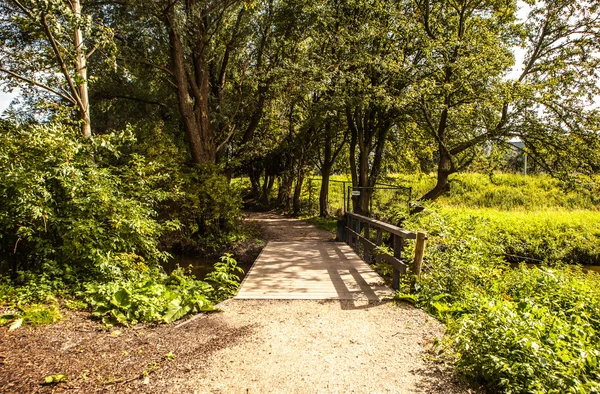 Grön park utomhus — Stockfoto