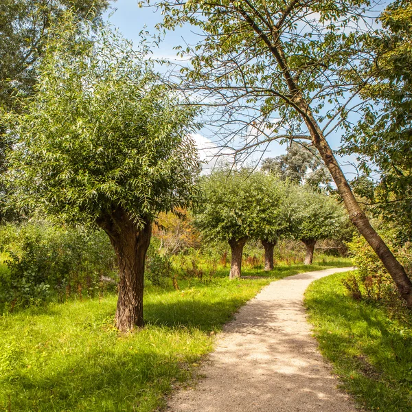 Parque verde al aire libre —  Fotos de Stock