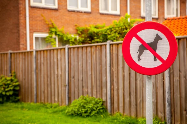 No Dogs Allowed Sign — Stock Photo, Image