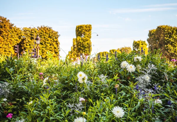 Champs Elysee i sommartid — Stockfoto