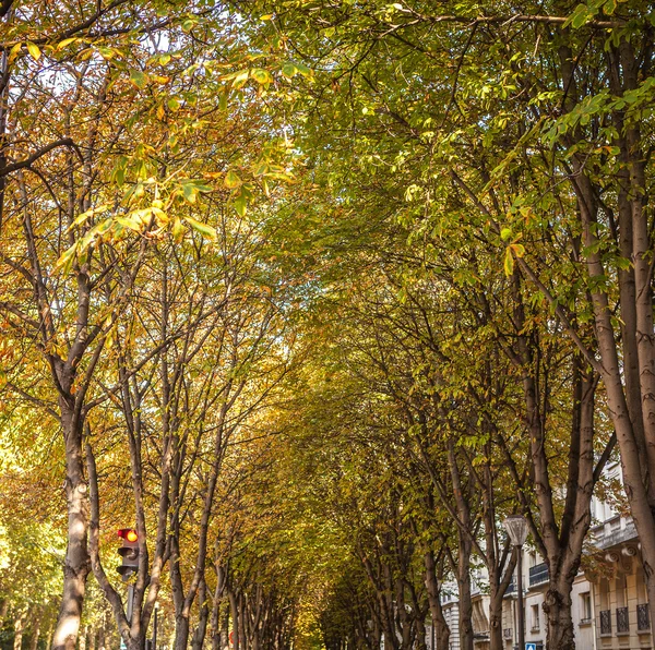 City summer streets. Paris - France. — Stock Photo, Image