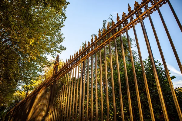 Forged park fence with golden peaks. — Stock Photo, Image