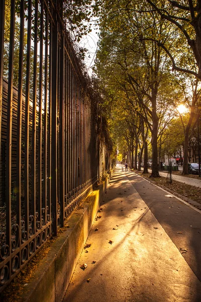 Forged park fence with golden peaks. — Stock Photo, Image