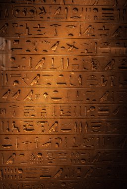 Egyptian hieroglyph in Louvre museum