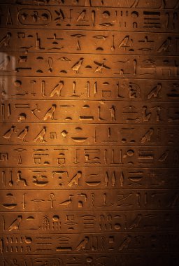 Egyptian hieroglyph in Louvre museum