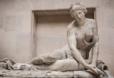 Heykel hall Louvre Müzesi, Paris