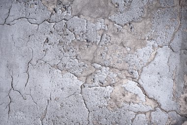 Arkaplan olarak taş duvar.