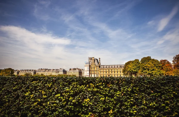 Gartenbaubetriebe öffentlicher Park — Stockfoto