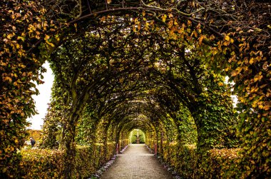 Muiderslot kale eski park topluluğu
