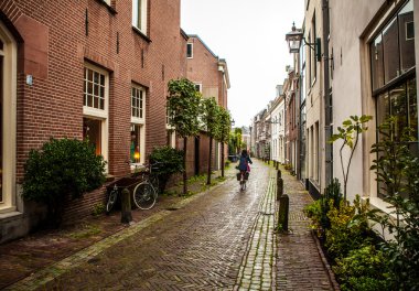 Haarlem şehir sokak. Hollanda