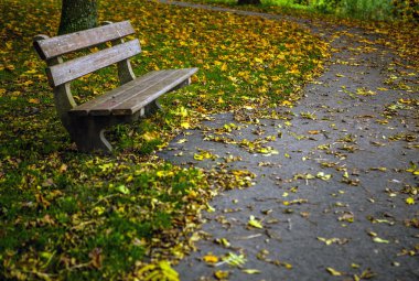 sonbahar Park'taki eski tezgah
