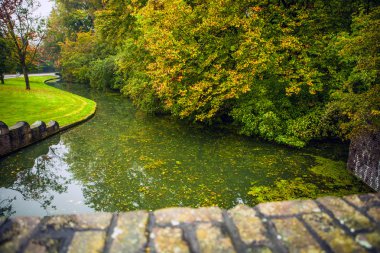 Güzel sonbahar park. Haarlem - Hollanda.