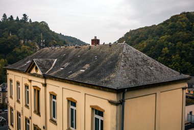 Lüksemburg'daki geleneksel mimari