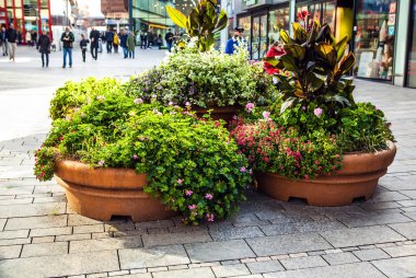 Çiçekli büyük tencere