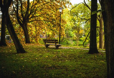 sonbahar Park'taki eski tezgah