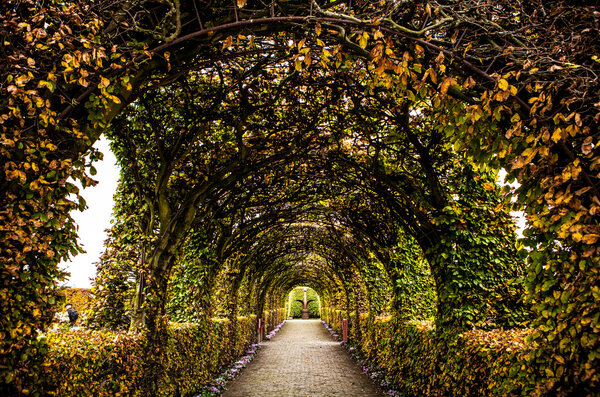 Muiderslot castle ancient park ensemble