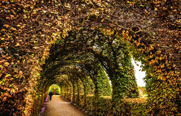 Muiderslot kale eski park topluluğu