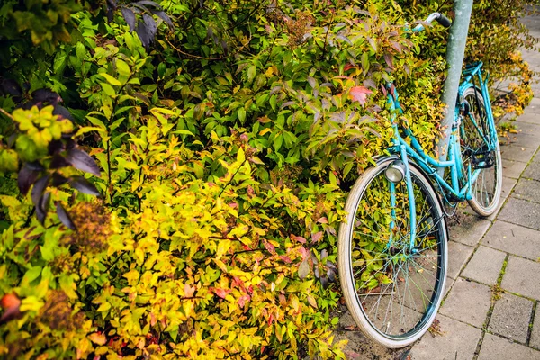 Oude heldere geparkeerde fiets — Stockfoto