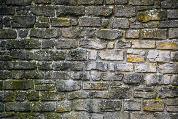 Ladrillos pared como fondo — Foto de Stock