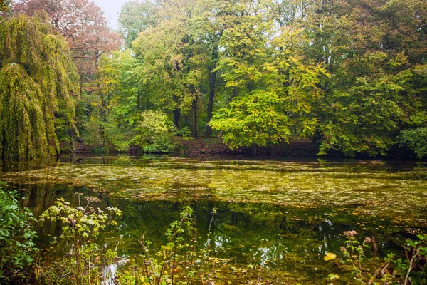 Güzel sonbahar park. Haarlem - Hollanda. — Stok fotoğraf