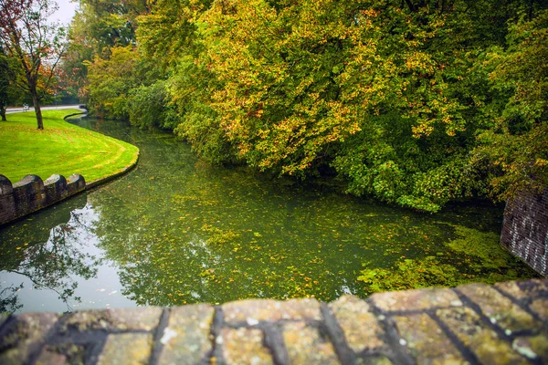 Mooie herfst park. Haarlem - Holland. — Stockfoto