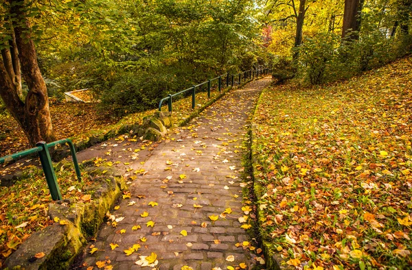 Camino de piedra Camino de la pasarela en Luxemburgo — Foto de Stock