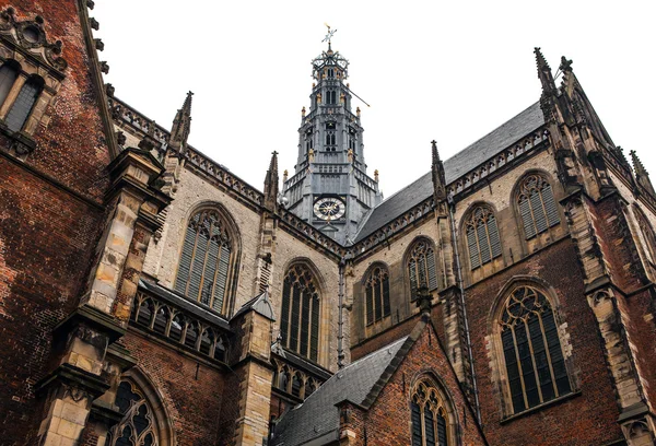 Haarlem eski kilisede. — Stok fotoğraf