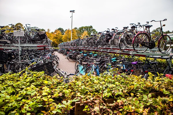 Parking à deux niveaux de vélos à La Haye — Photo