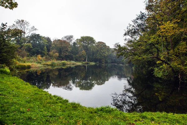 Beau parc d'automne. Haarlem - Hollande . — Photo