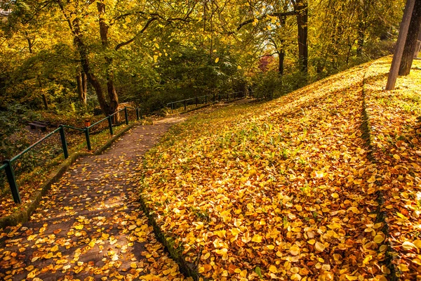 Camino de piedra Camino de la pasarela en Luxemburgo — Foto de Stock