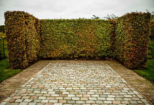 Muiderslot castillo antiguo parque conjunto —  Fotos de Stock