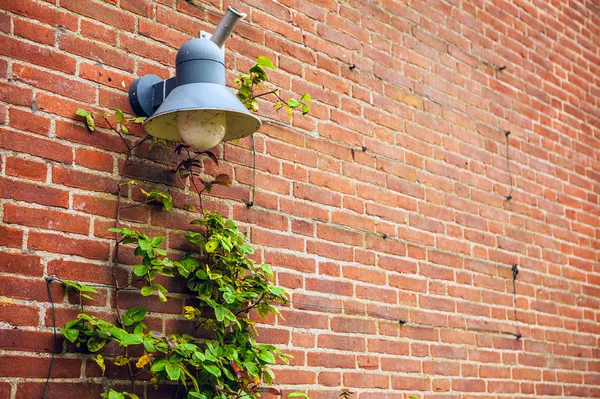 Stará kamenná zeď s pouliční lampa — Stock fotografie