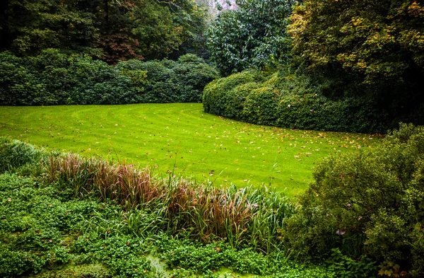 Güzel sonbahar park. Haarlem - Hollanda. — Stok fotoğraf